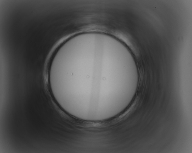 X0000098101462200804040737