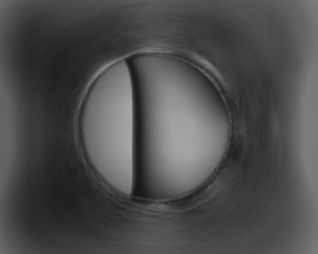 X0000098101463200804040736