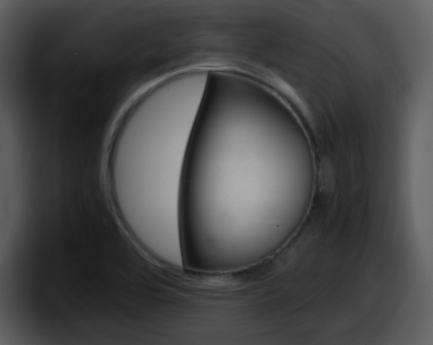 X0000098101464200804040736