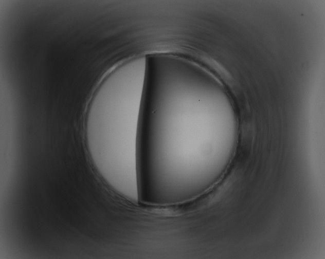 X0000098101465200804040736
