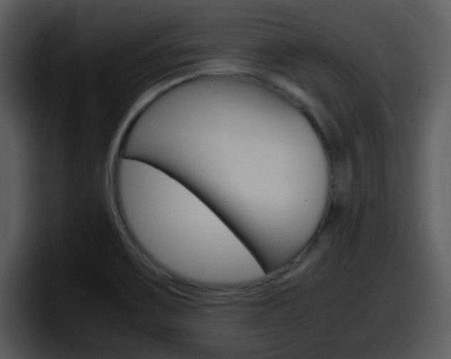 X0000098101467200804040736