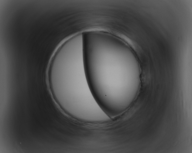 X0000098101468200804040736