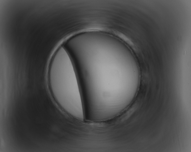 X0000098101469200804040736