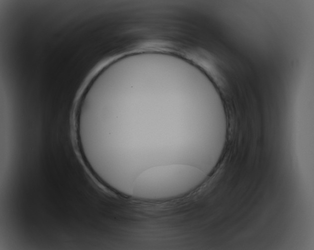 X0000098101470200804040736