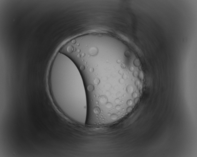 X0000098101471200804040736