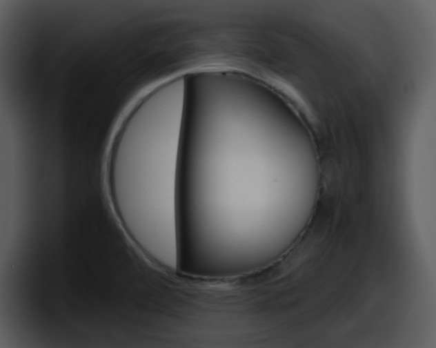 X0000098101472200804040736
