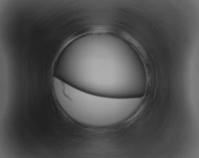X0000098101473200804040736