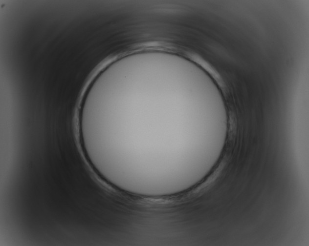 X0000098101474200804040736
