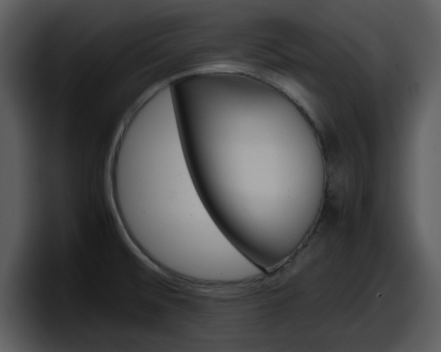 X0000098101476200804040736