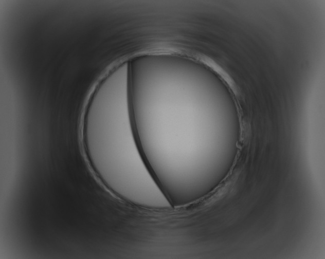 X0000098101477200804040736