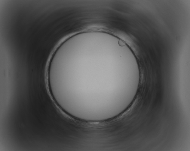 X0000098101478200804040736