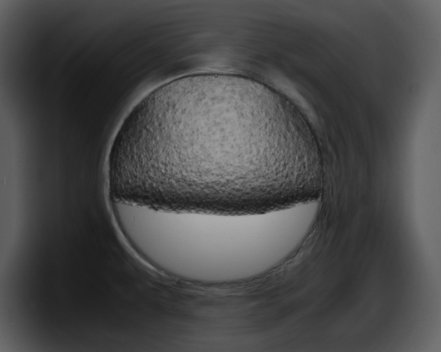 X0000098101479200804040736