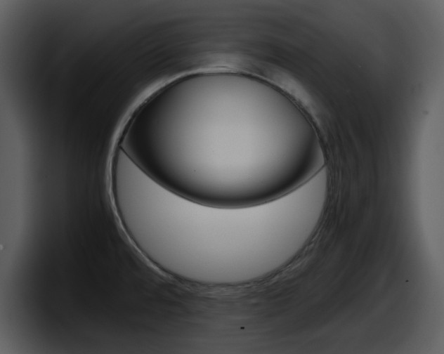 X0000098101480200804040736