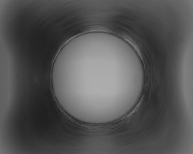 X0000098101481200804040736