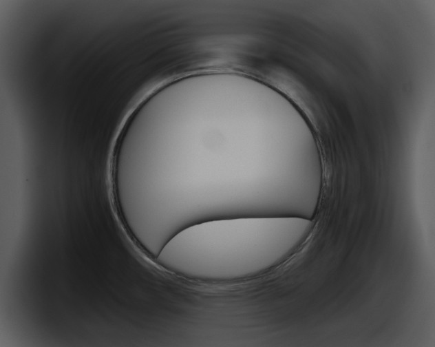 X0000098101482200804040736