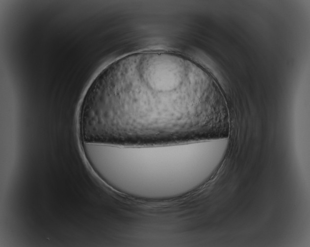 X0000098101483200804040736