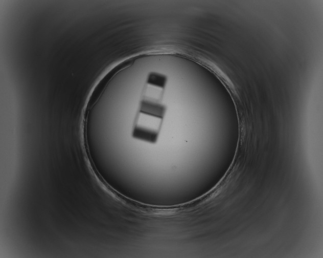 X0000098101484200804040736