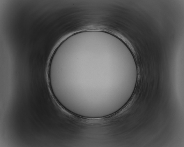 X0000098101486200804040736