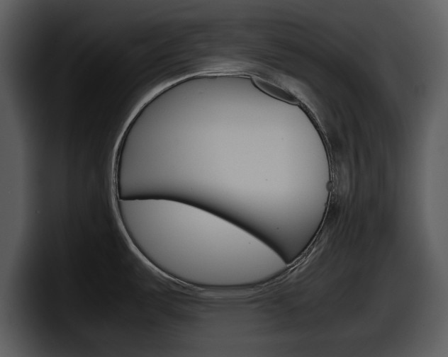 X0000098101487200804040736