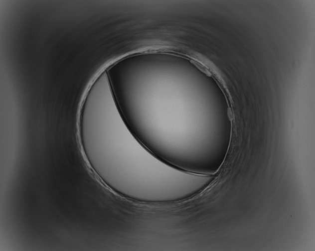 X0000098101488200804040736