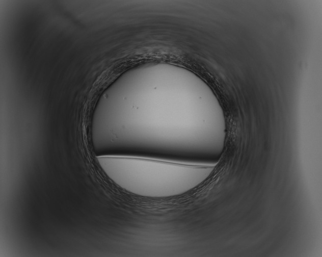 X0000098101489200804040736
