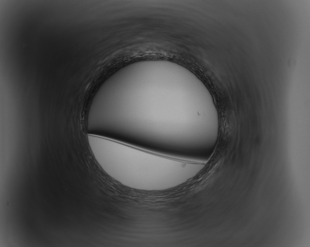 X0000098101490200804040736