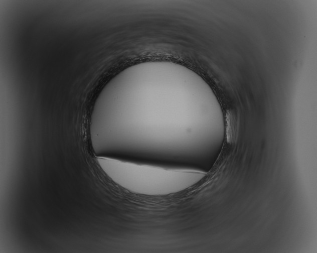 X0000098101491200804040736
