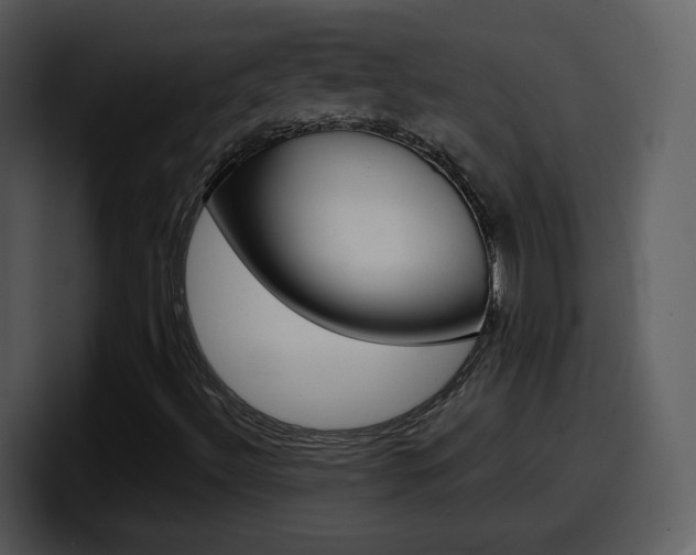 X0000098101492200804040736