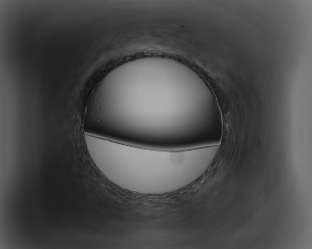 X0000098101495200804040736