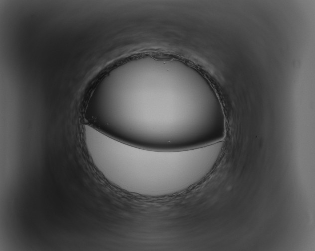 X0000098101496200804040736