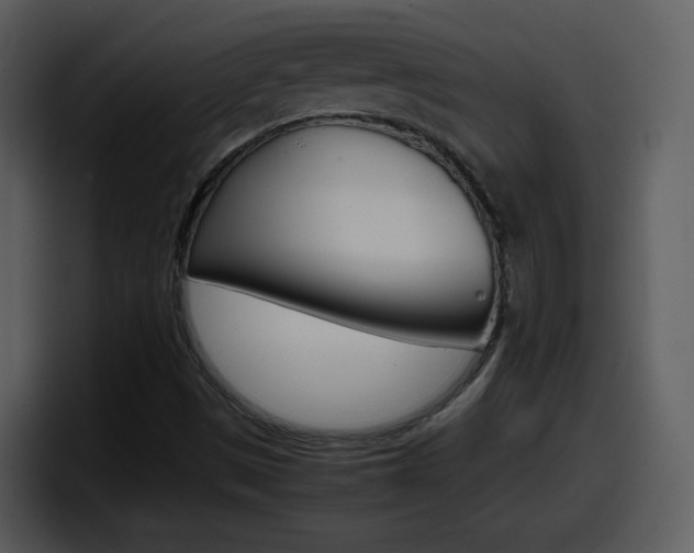 X0000098101497200804040736