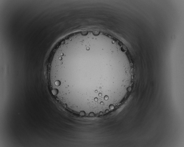 X0000098101498200804040736
