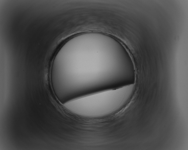 X0000098101499200804040736