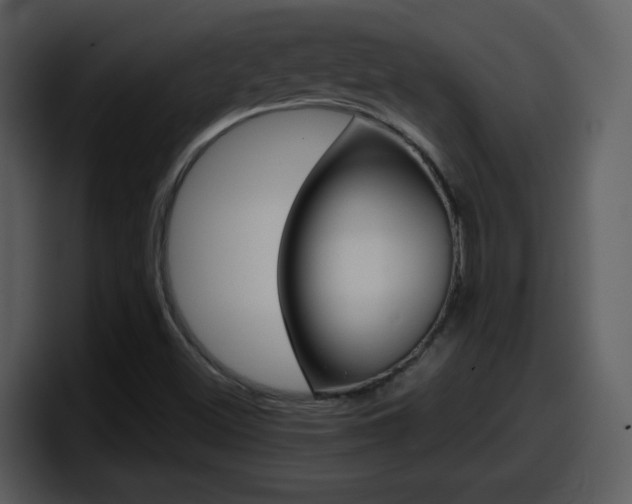 X0000098101500200804040736