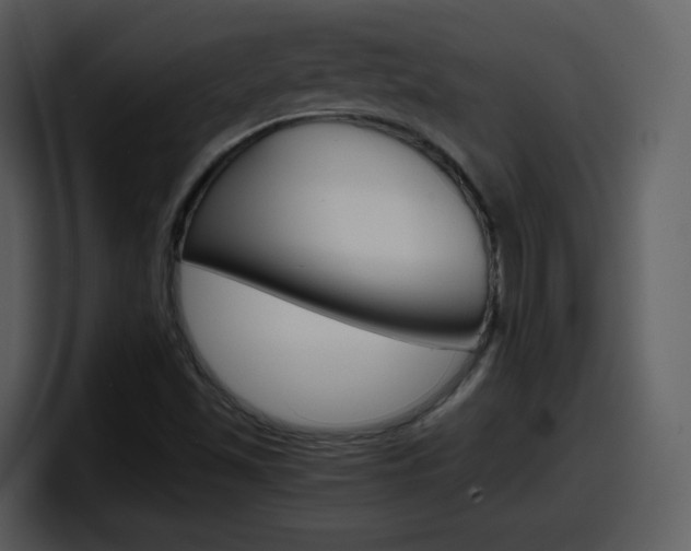 X0000098101501200804040736