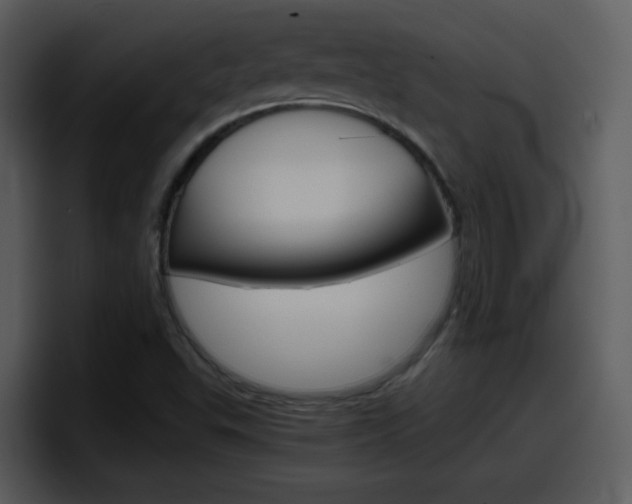 X0000098101503200804040736