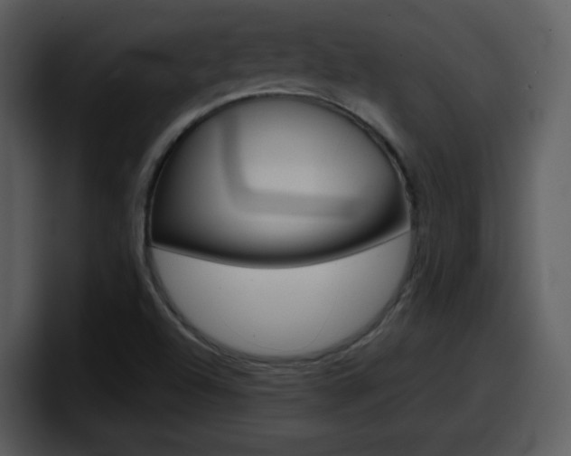 X0000098101504200804040736