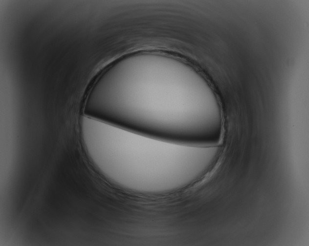 X0000098101505200804040736