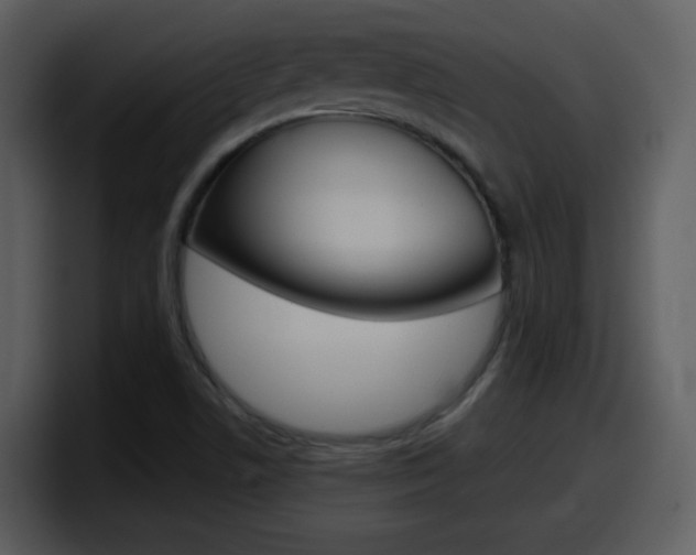 X0000098101506200804040736