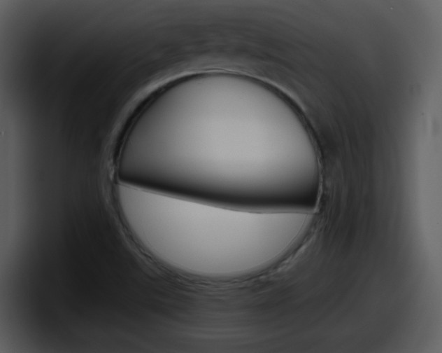 X0000098101507200804040736