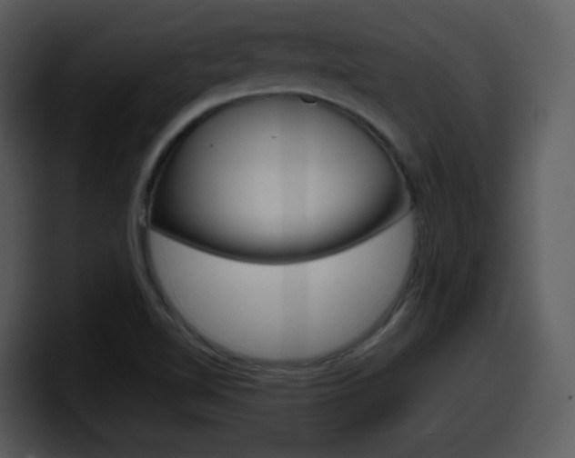 X0000098101510200804040736