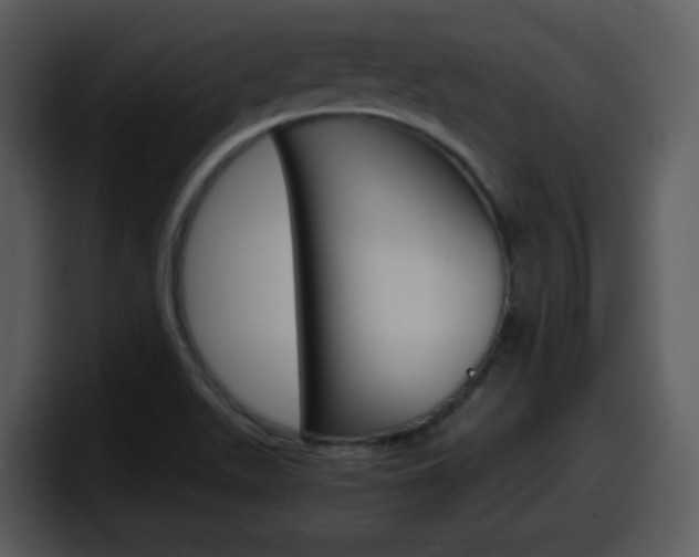X0000098101511200804040736