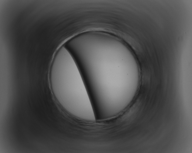 X0000098101513200804040736