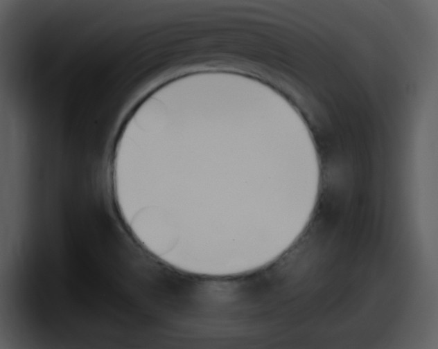 X0000098101514200804040736