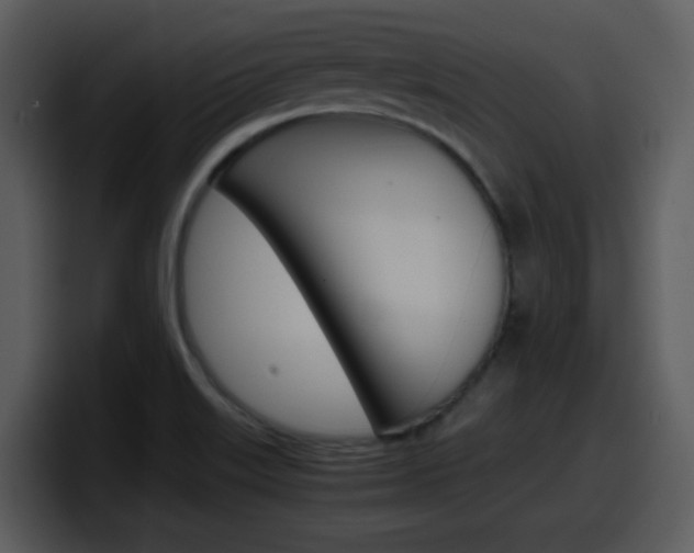 X0000098101515200804040736