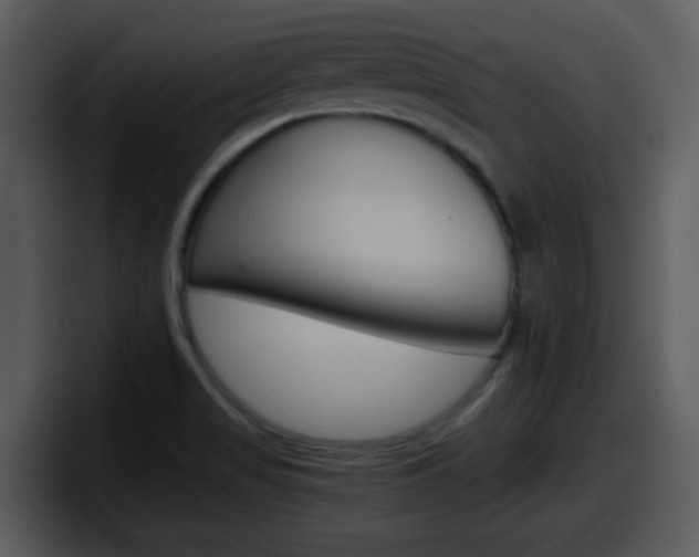 X0000098101517200804040736