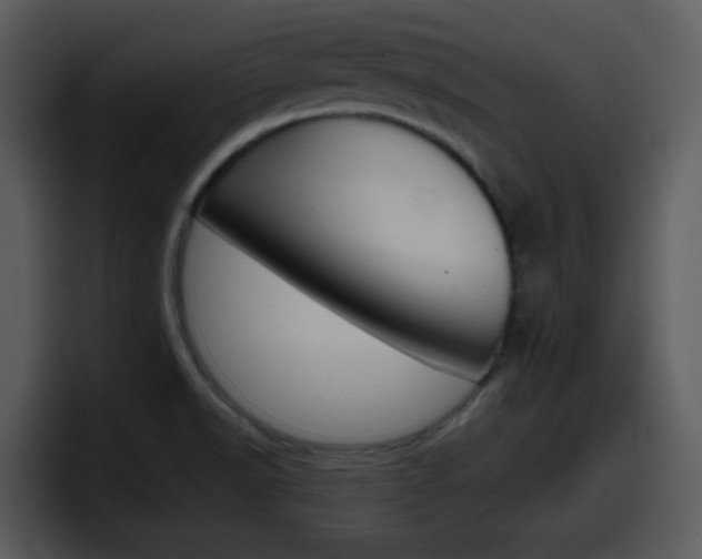 X0000098101518200804040736