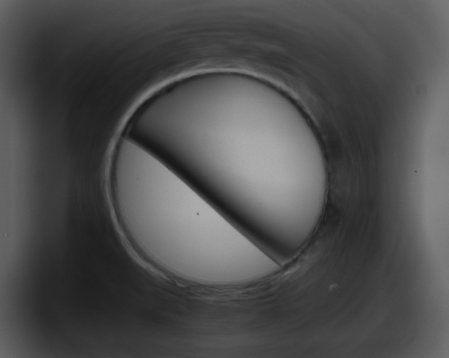 X0000098101519200804040736