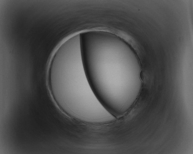 X0000098101520200804040736