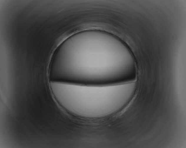 X0000098101521200804040736